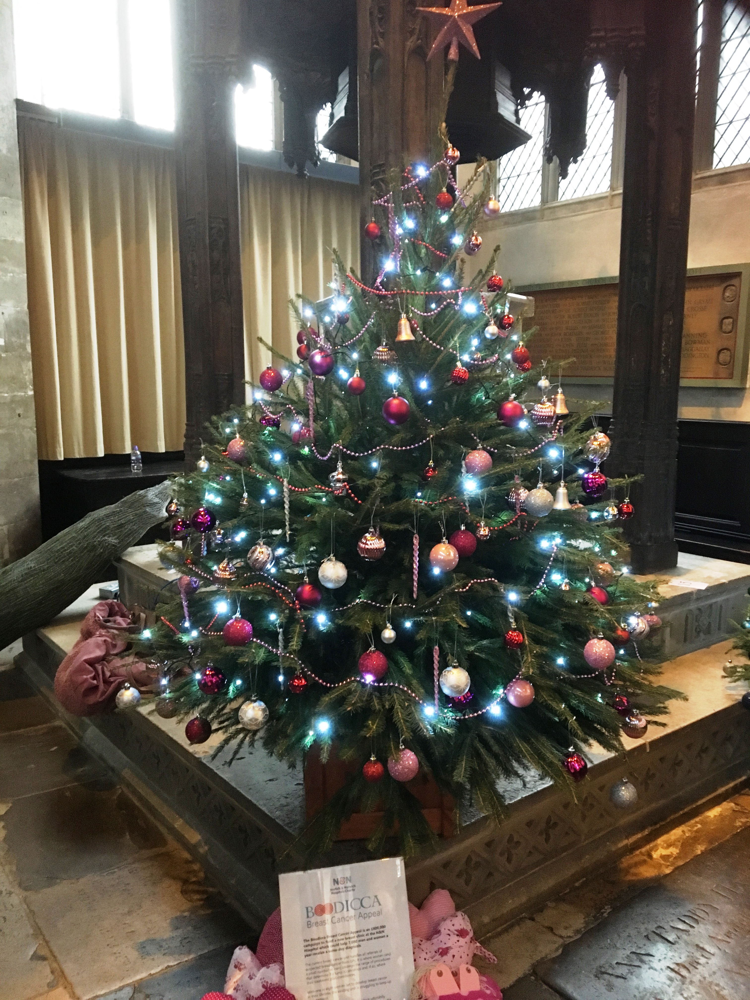Christmas tree shines for breast cancer appeal